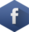 Facebook icon