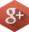 Google+ icon